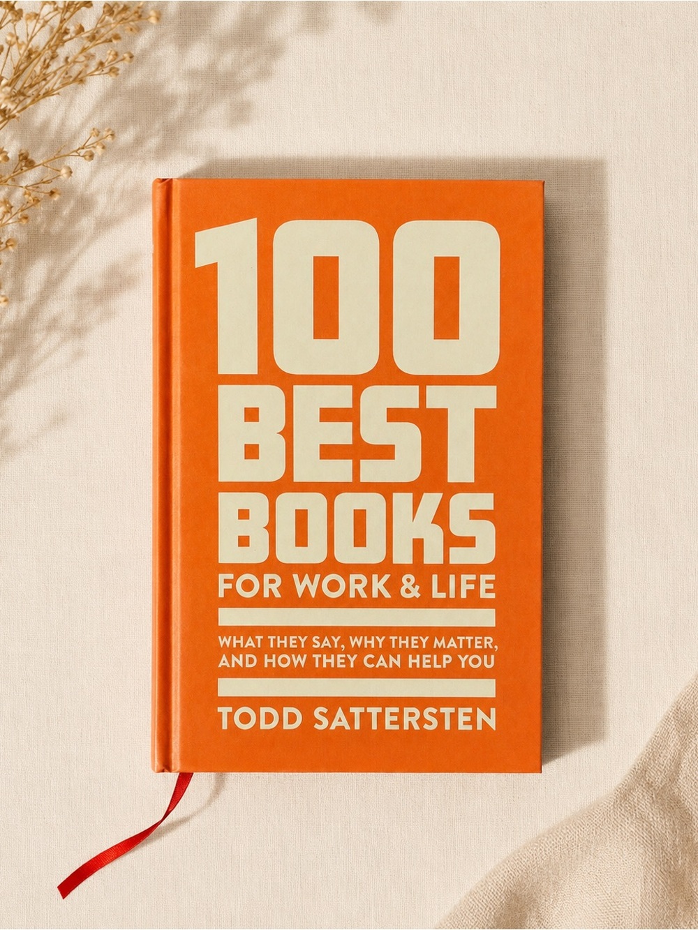 100 Best Books for Work & Life by Todd Sattersten